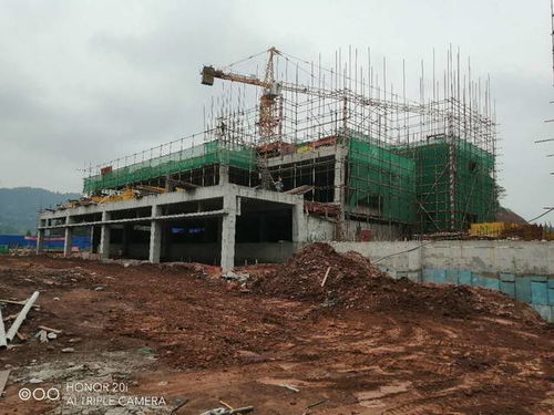 蓬安梧桐大院项目建设工程施工有序推进